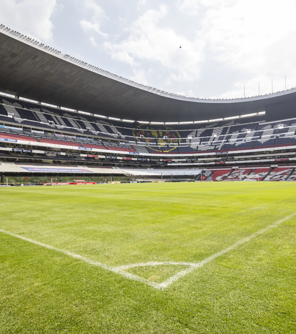 The Liga MX Investment Thesis and Other Key Considerations Image